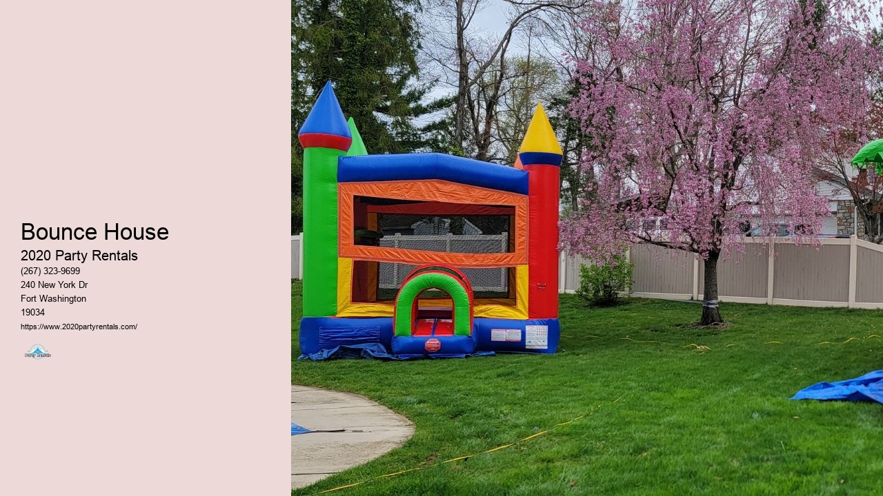 5 in 1 Bounce House Rental