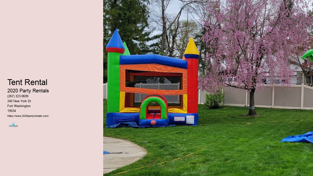 Birthday Party Inflatable Rentals Near Me